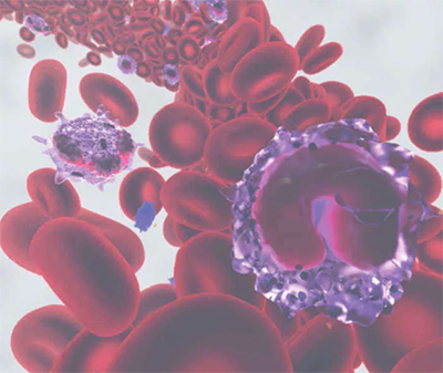 Das Blut und seine Erkrankungen      Das Blut und seine Erkrankungen
