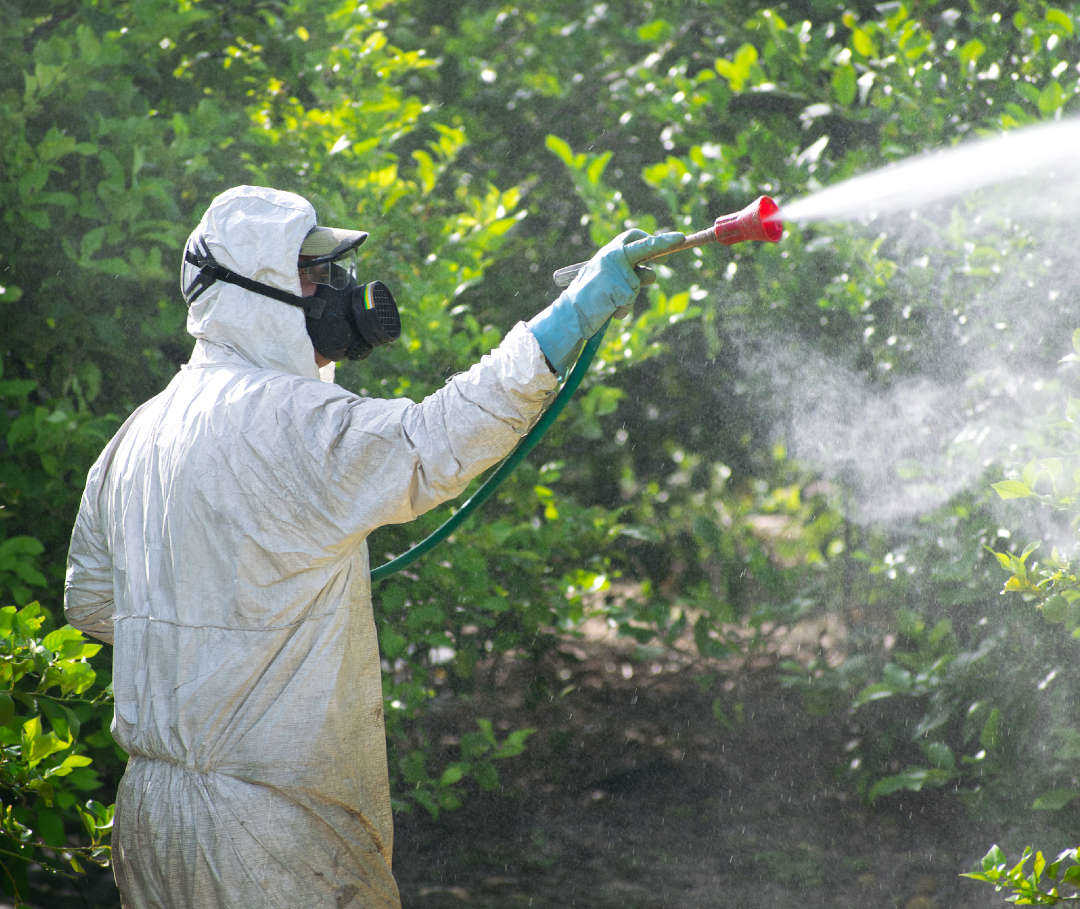Welche Ursachen hat ein diffus großzelliges B-Zell Lymphom?